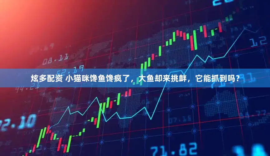 炫多配资 小猫咪馋鱼馋疯了，大鱼却来挑衅，它能抓到吗？