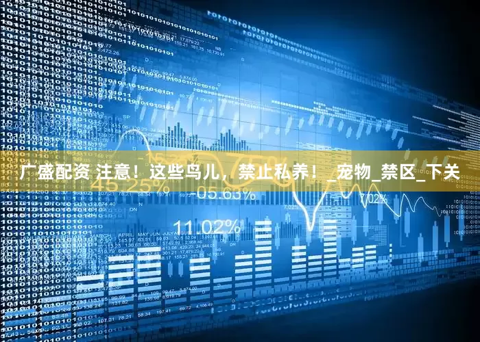 广盛配资 注意！这些鸟儿，禁止私养！_宠物_禁区_下关