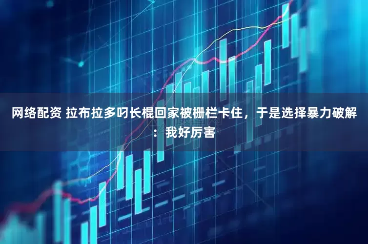 网络配资 拉布拉多叼长棍回家被栅栏卡住，于是选择暴力破解：我好厉害