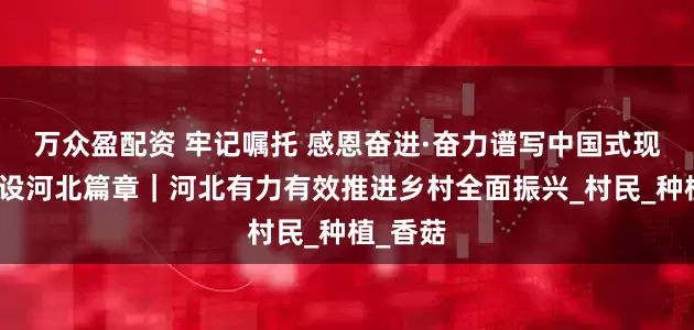万众盈配资 牢记嘱托 感恩奋进·奋力谱写中国式现代化建设河北篇章｜河北有力有效推进乡村全面振兴_村民_种植_香菇