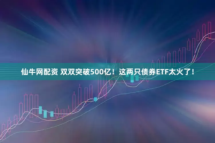 仙牛网配资 双双突破500亿！这两只债券ETF太火了！
